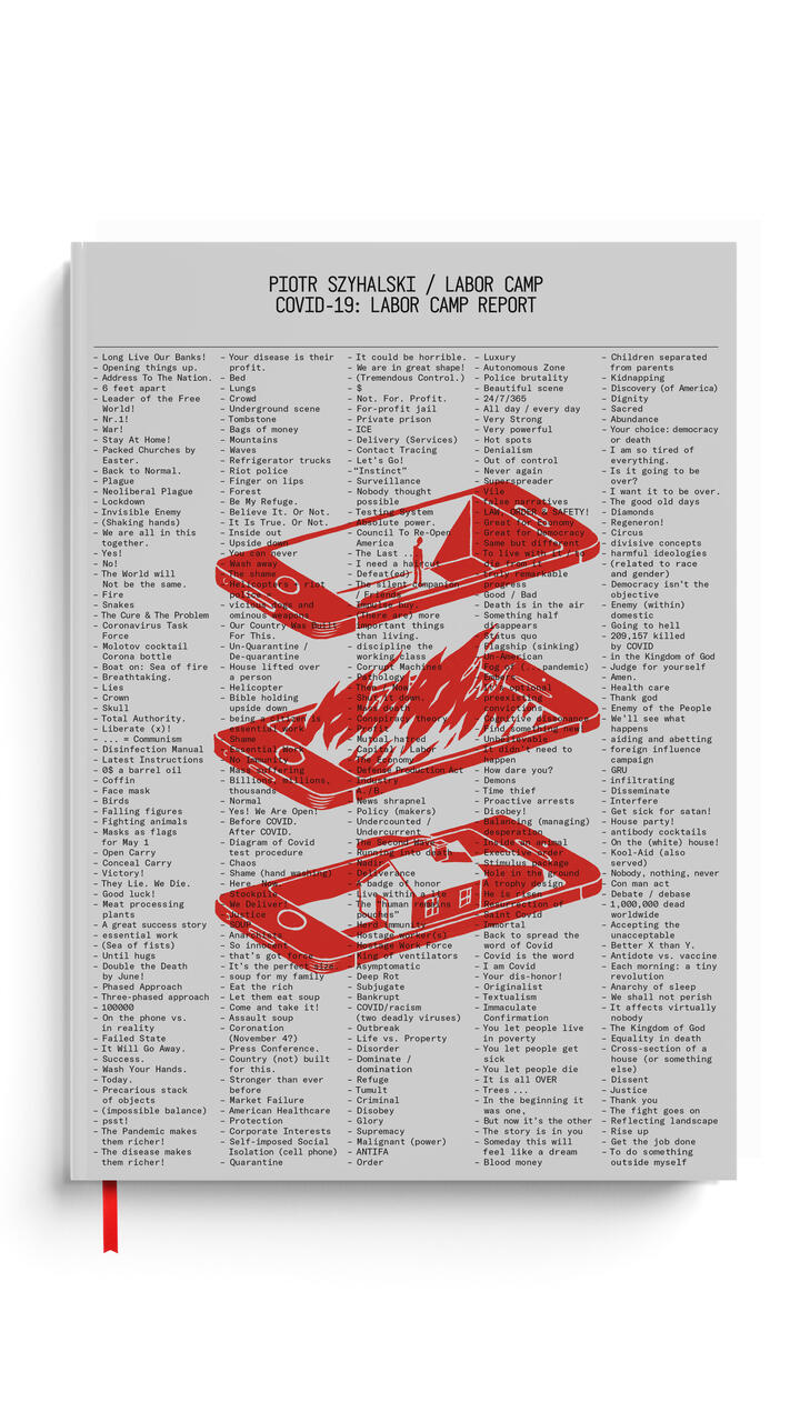 Labor Camp Book Cover