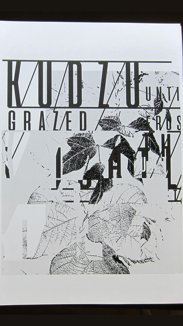 XP Content by Emily Allen