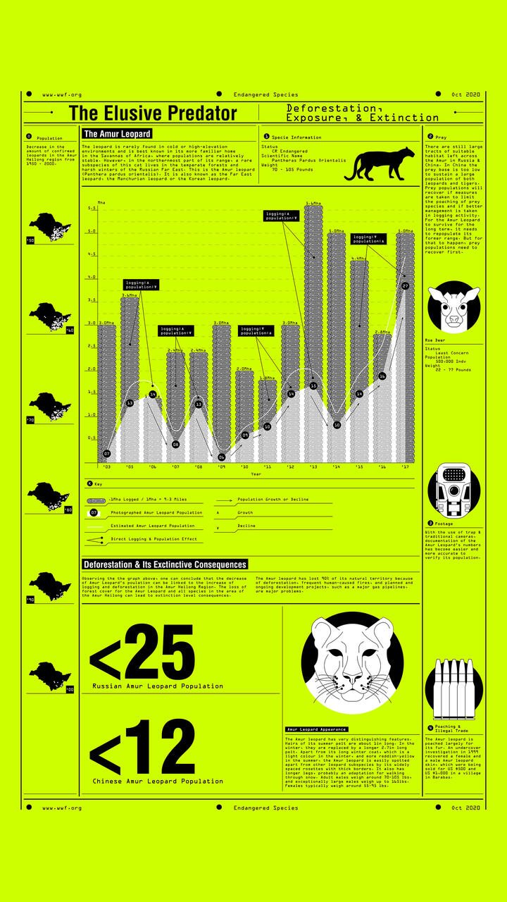 Data Visual Poster