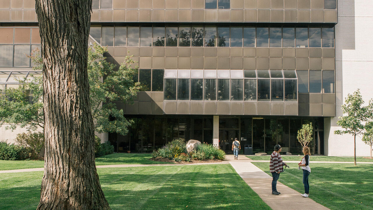 MCAD lawn in the summer