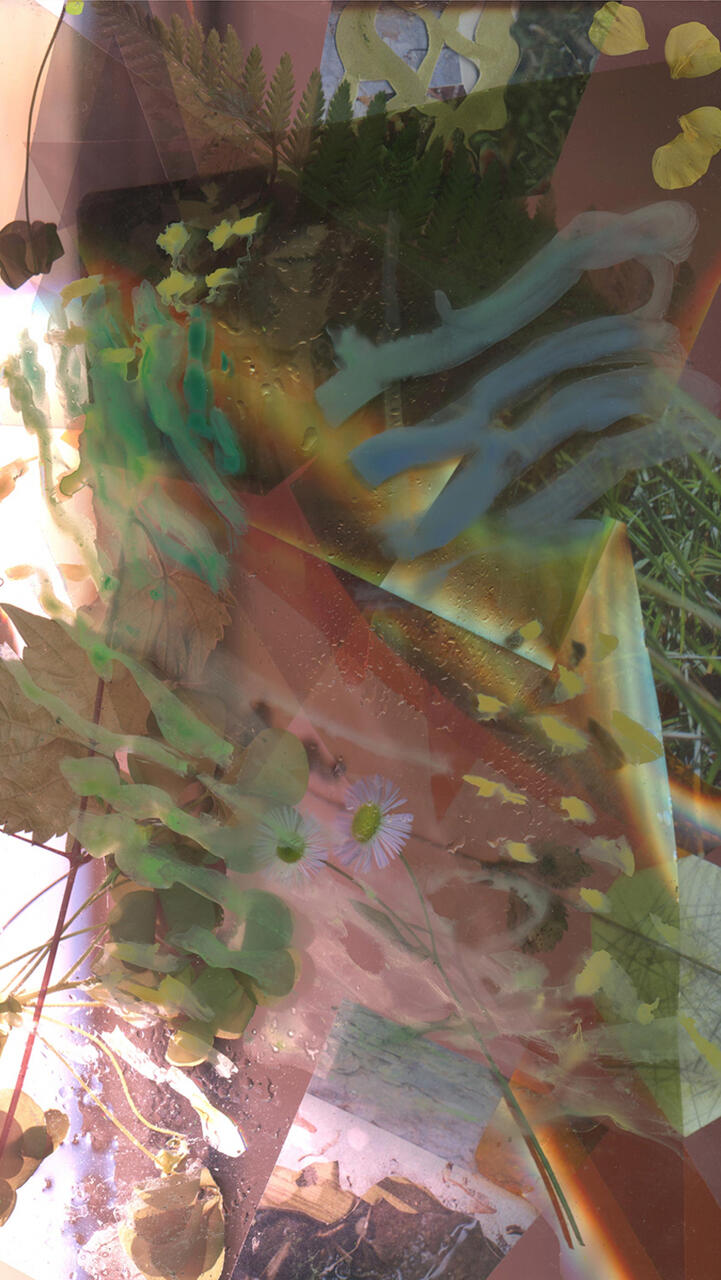 A collage made up of different plants and photographs