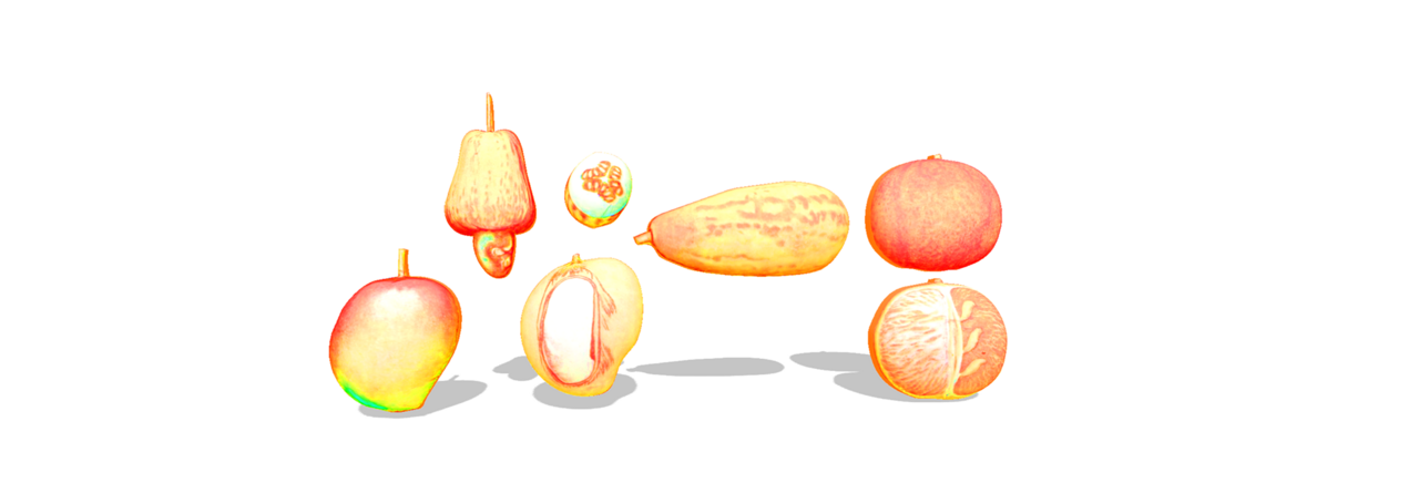 Illustration from Fresh Fruitz exhibition
