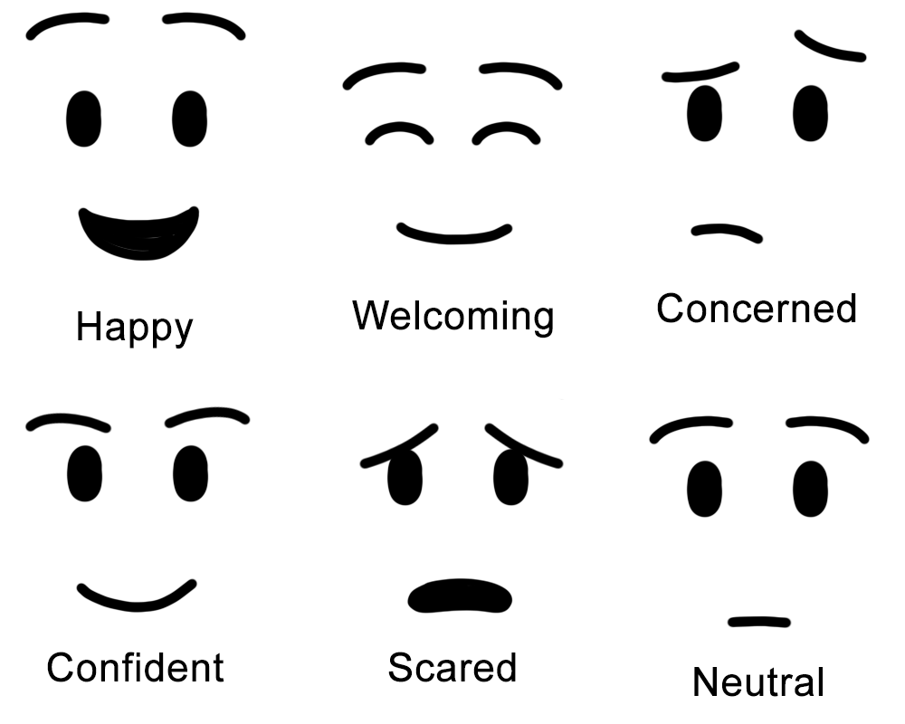 Facial Expression Design