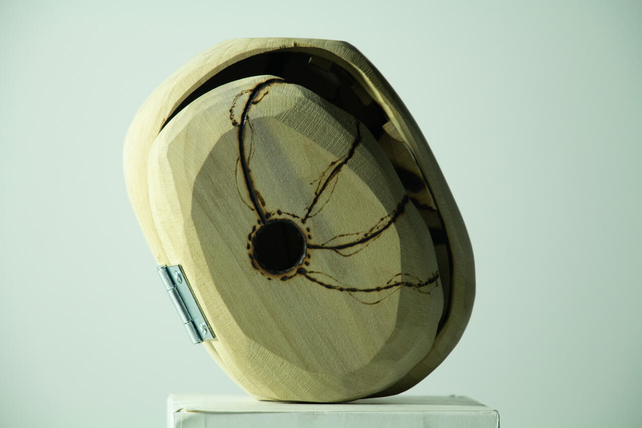 Friendly Infestation wood sculpture by Nicolas Araya