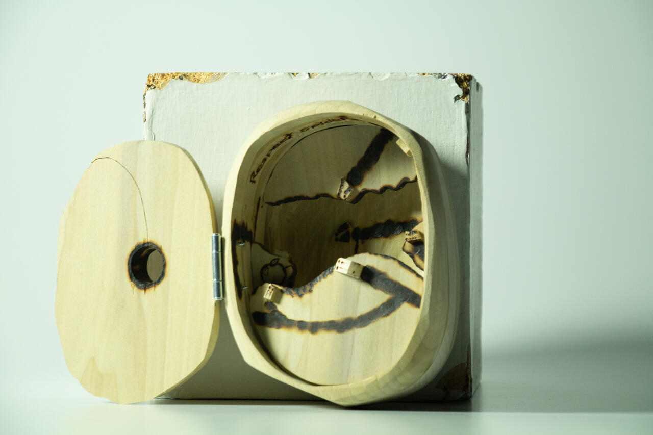 Friendly Infestation wood sculpture by Nicolas Araya