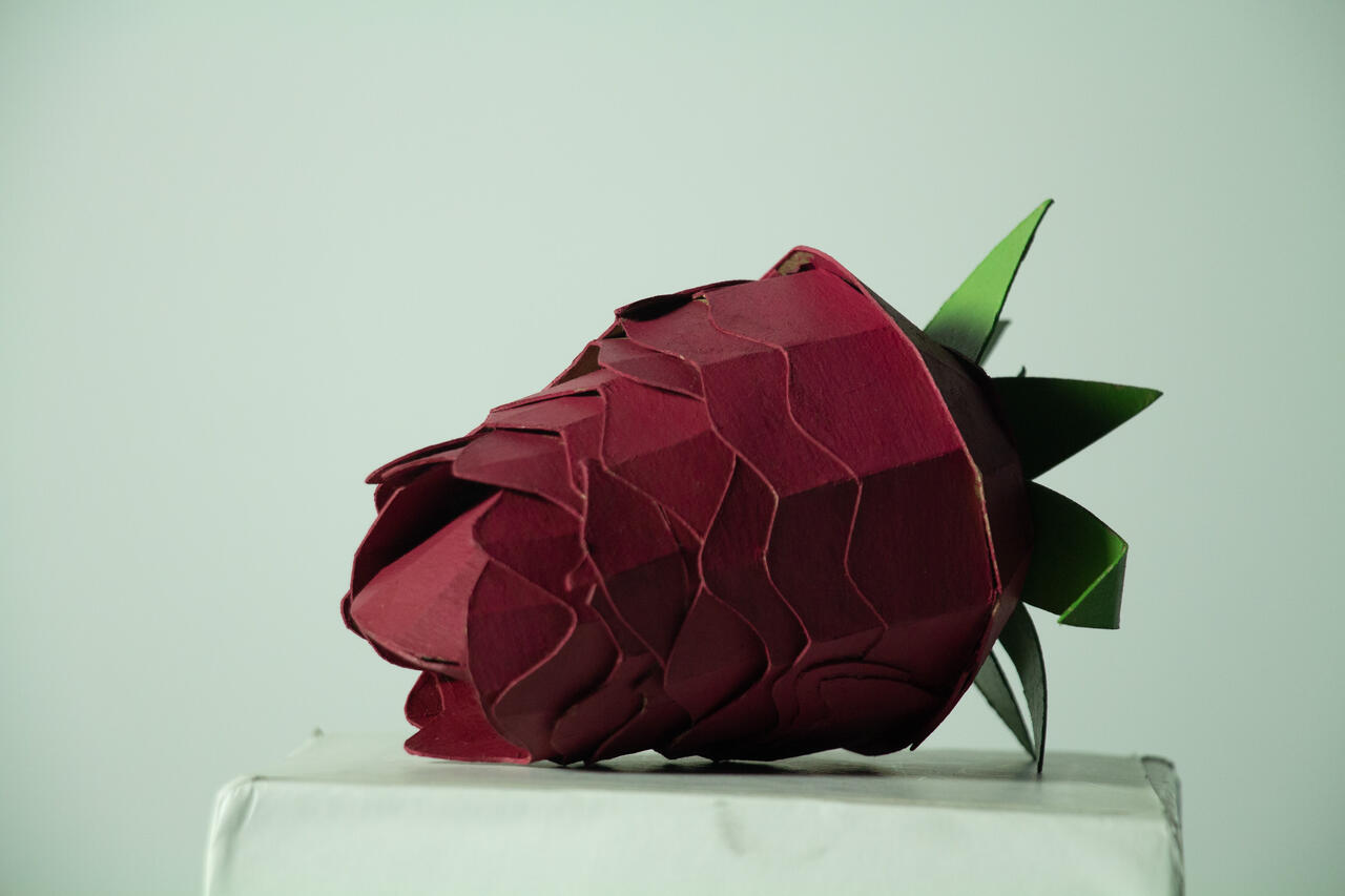 Fruit cardboard sculpture by Nicolas Araya