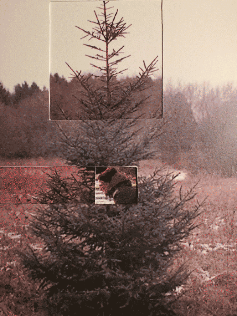 Narrative book gif