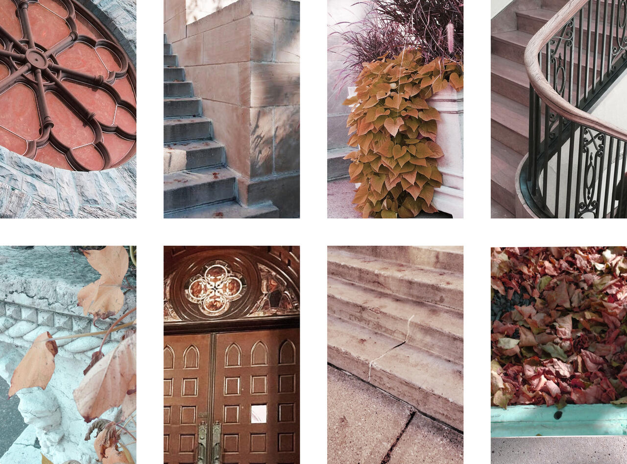 Project 3 collection of photographs by Jessy Kowal