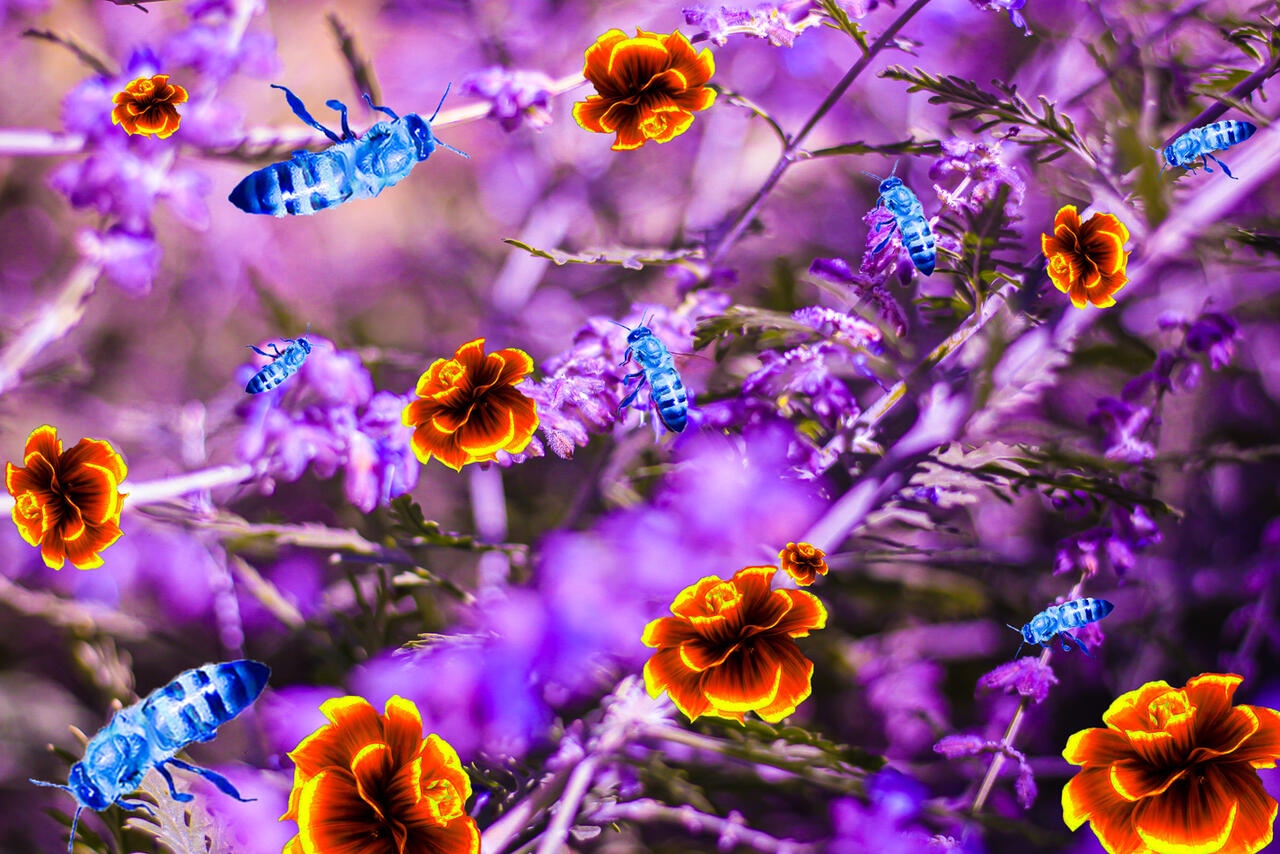 Photo 01 by Bri Lage