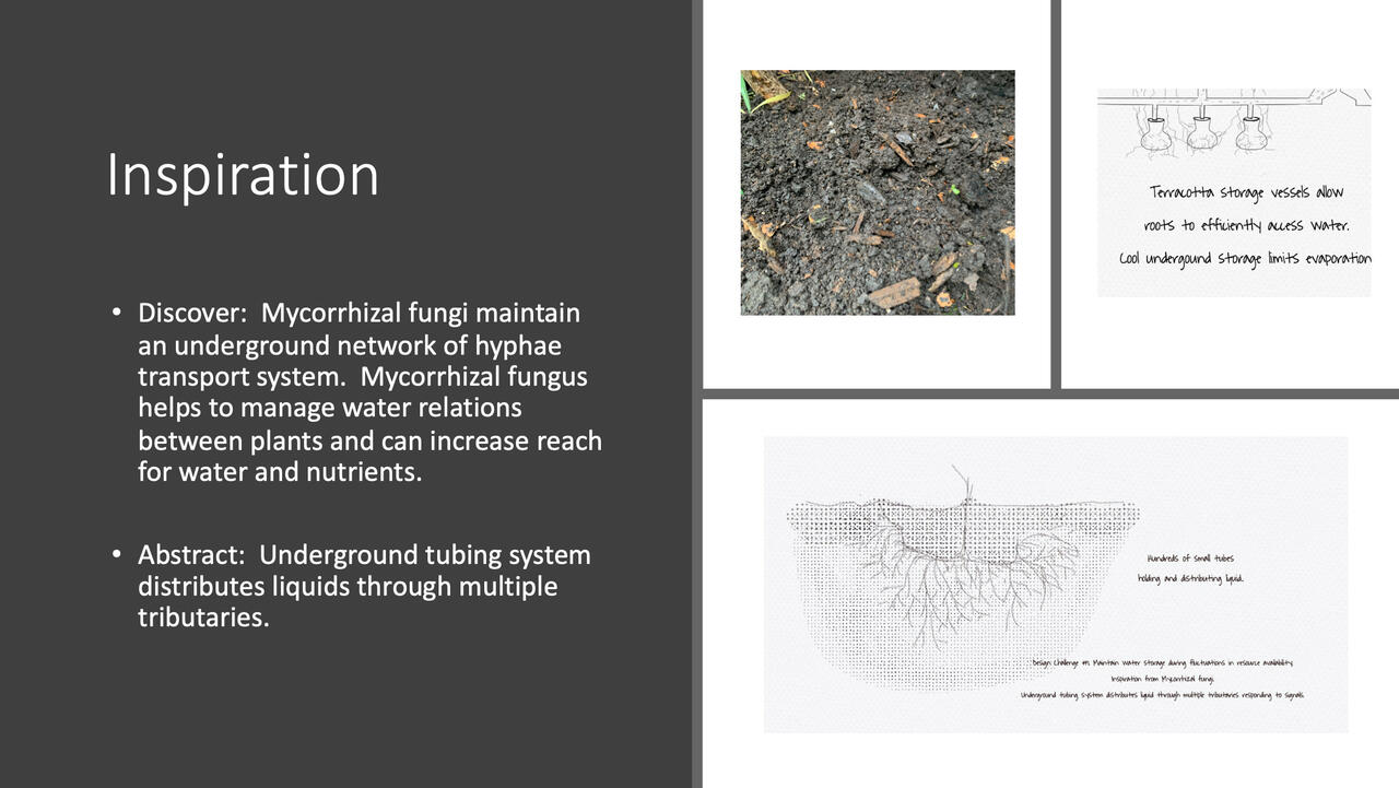 Localized Watering System Design Project presentation by Heather Cusick