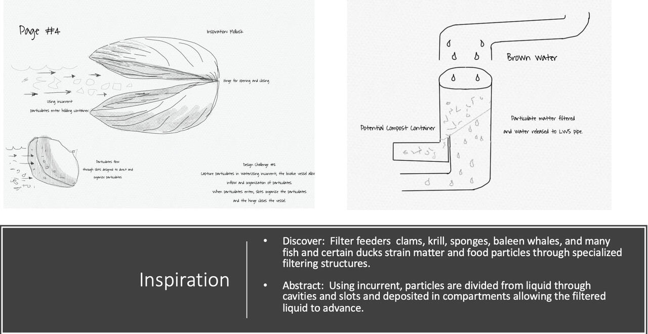 Localized Watering System Design Project presentation by Heather Cusick