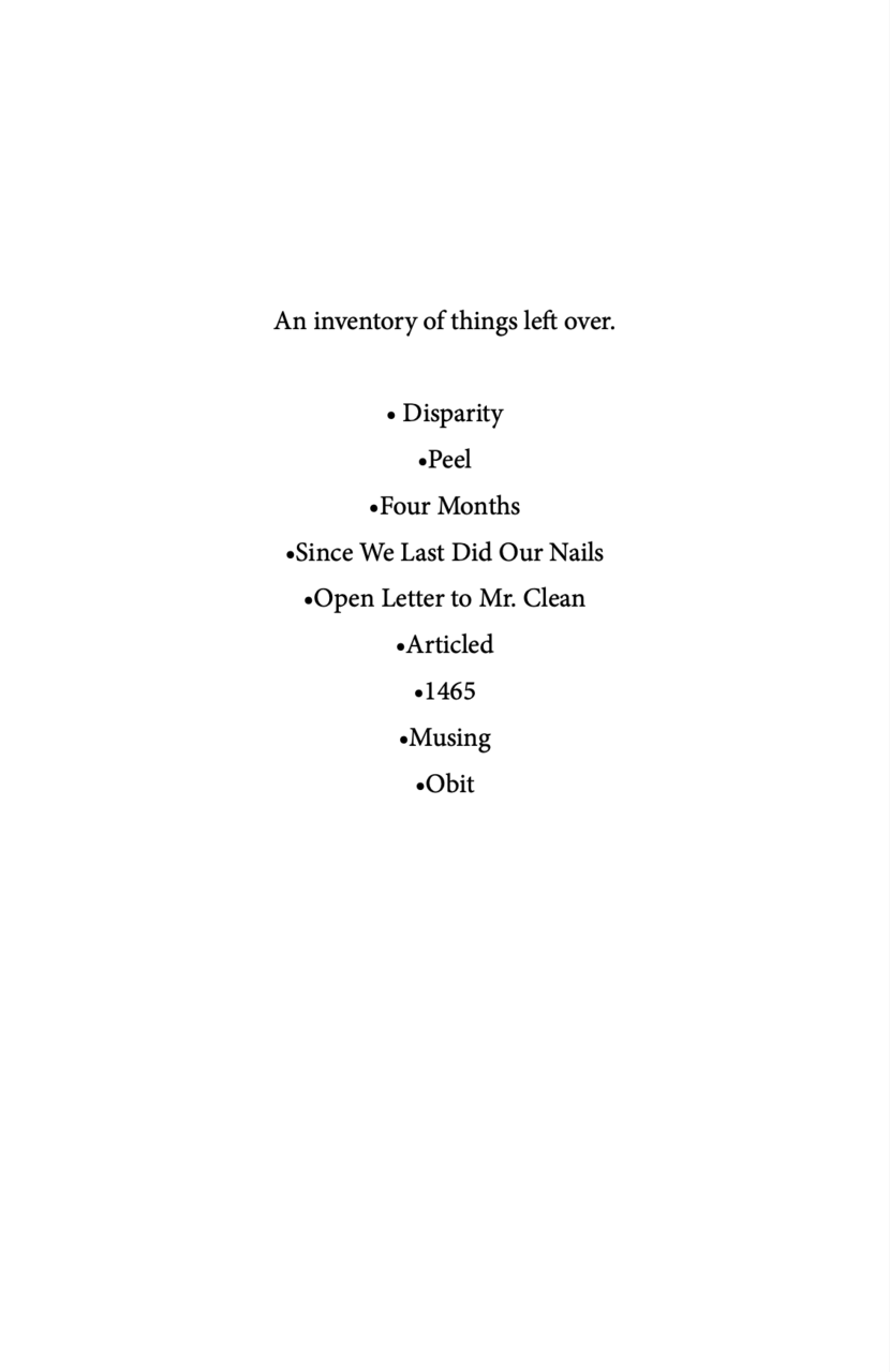 Illustrated collection of short writings by Megan Leavitt