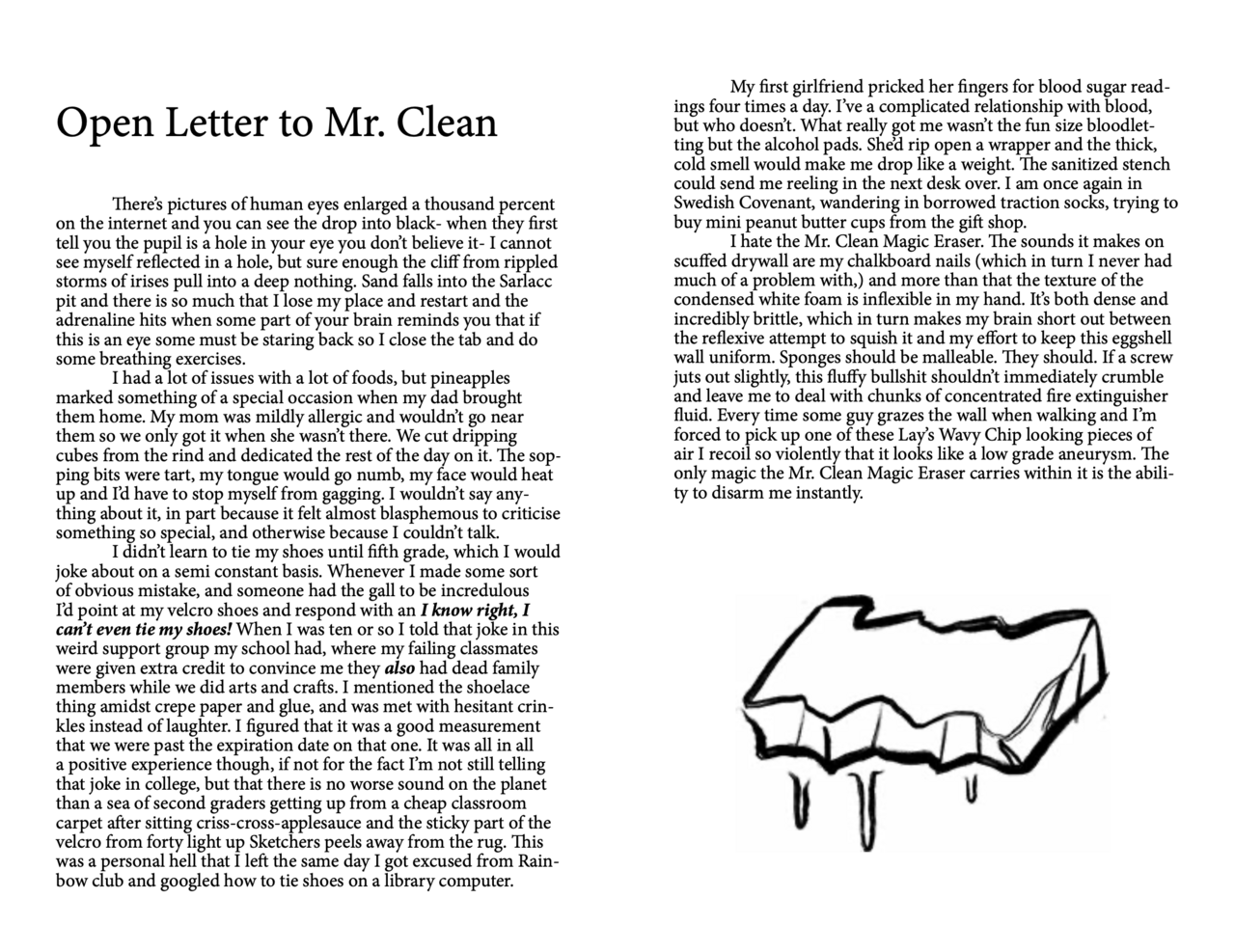 Illustrated collection of short writings by Megan Leavitt