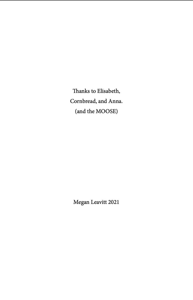 Illustrated collection of short writings by Megan Leavitt