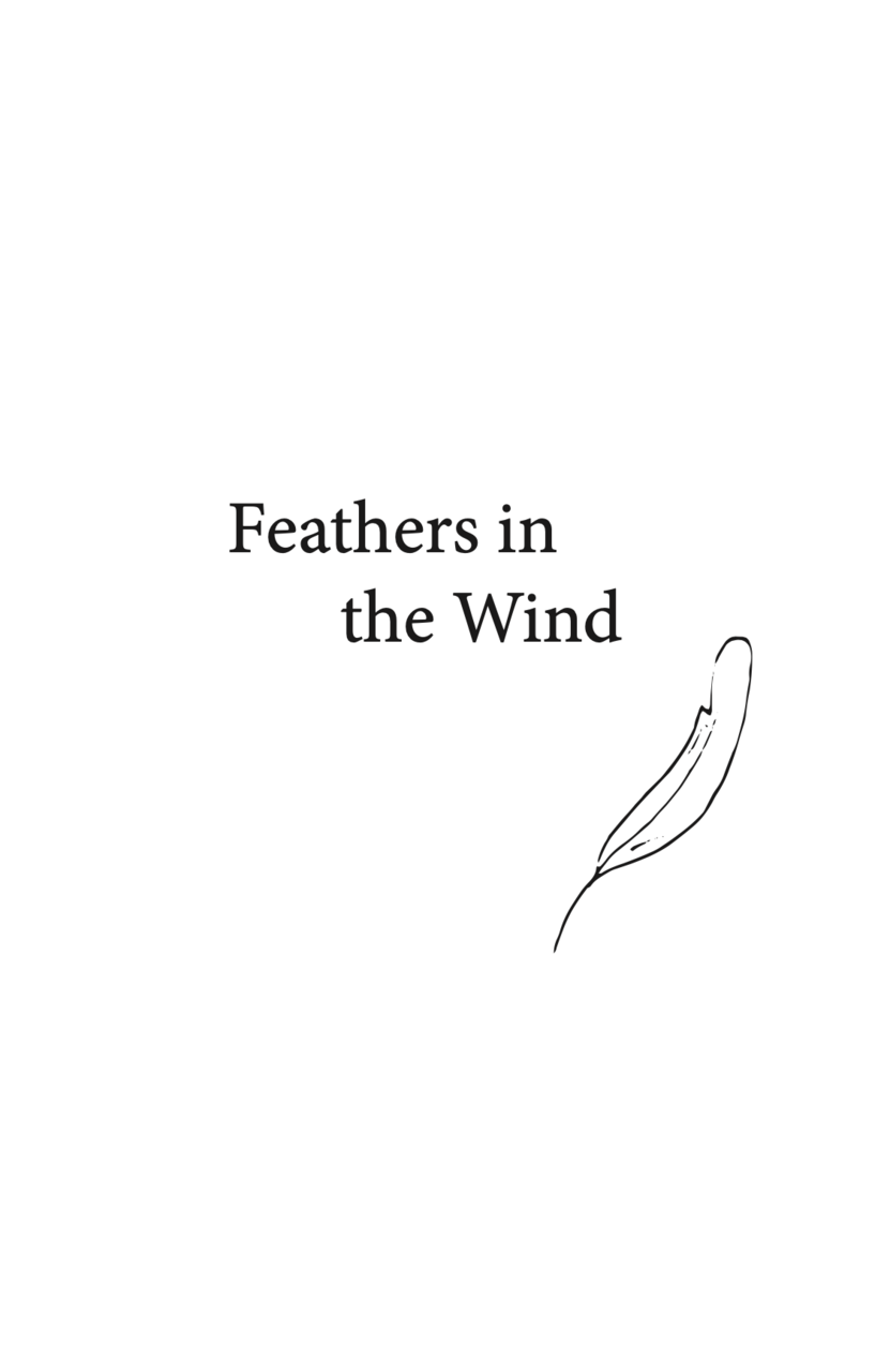 Feathers in the Wind collection of poems by Isabella Avedikian