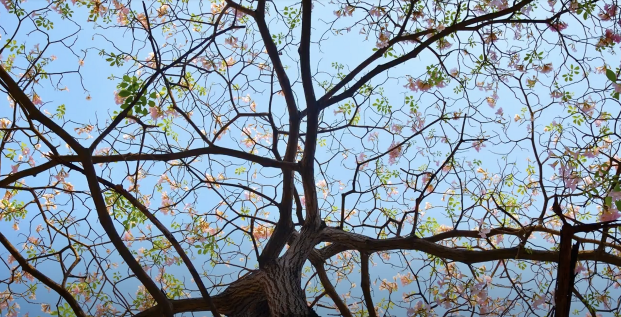 Still from Life is Changing video by Matt Richner
