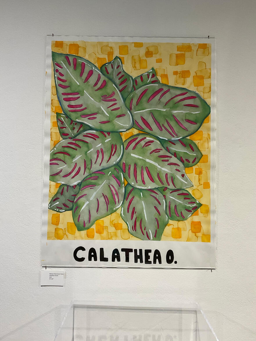 Madisyn Bearbower's Senior Project display for the Fall 2022 Commencement Exhibition