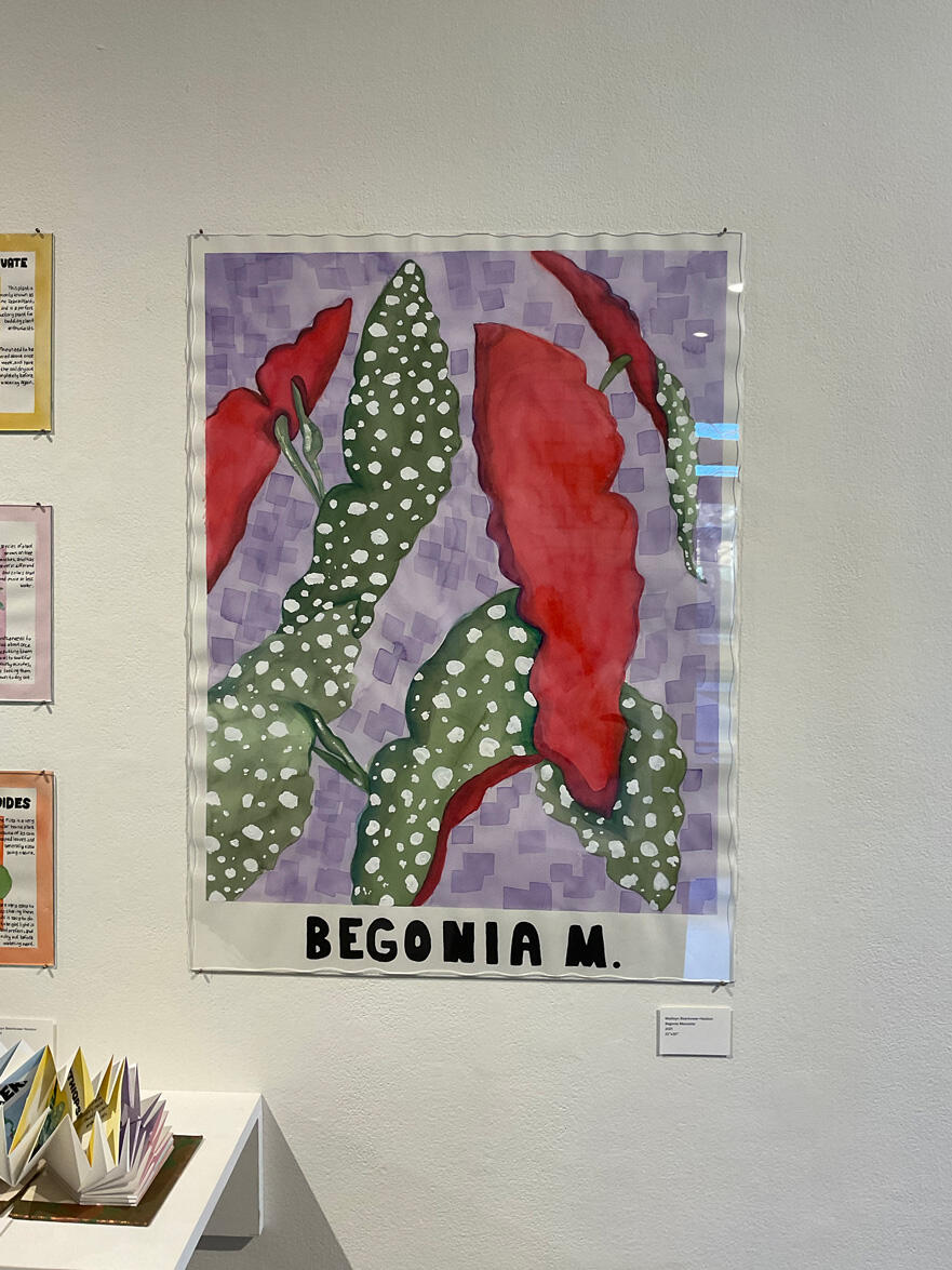 Madisyn Bearbower's Senior Project display for the Fall 2022 Commencement Exhibition