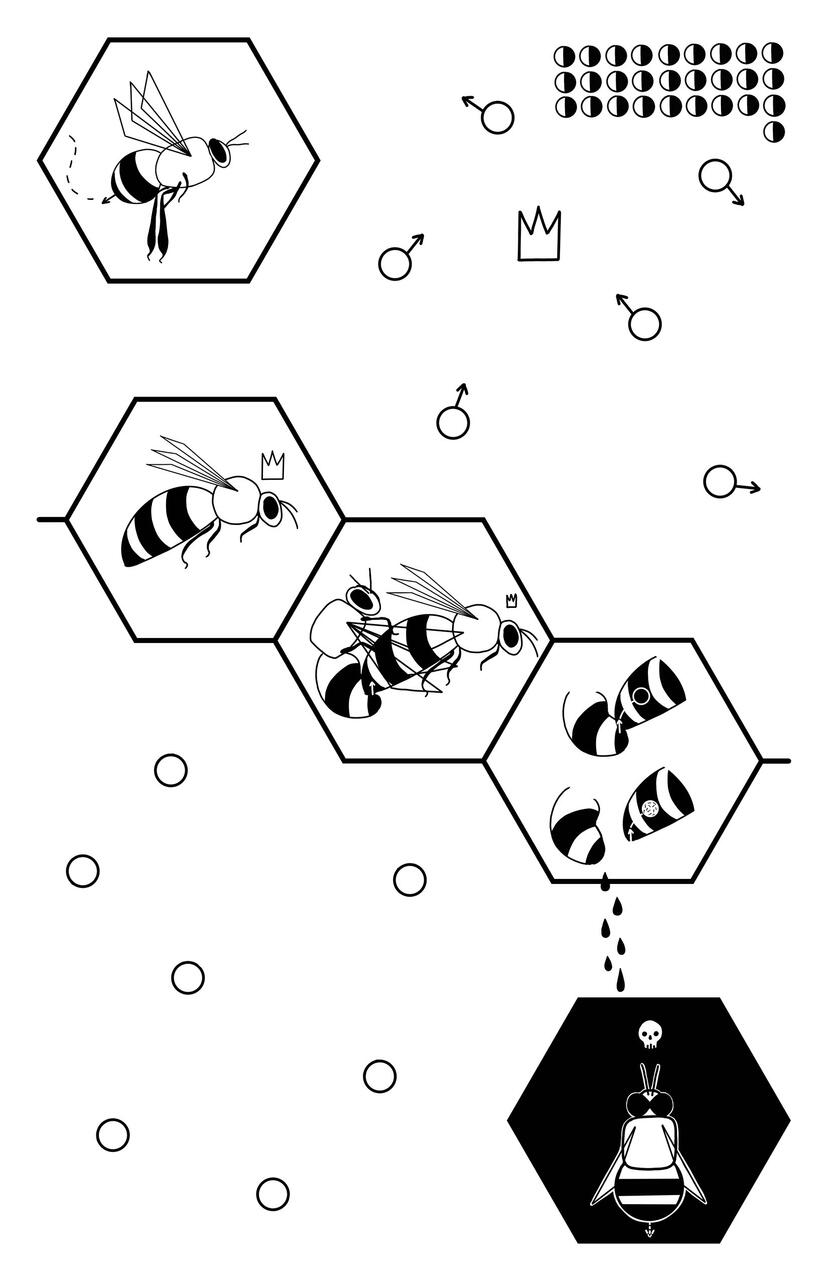 Bees - Comic Media and Concepts Project Page 3