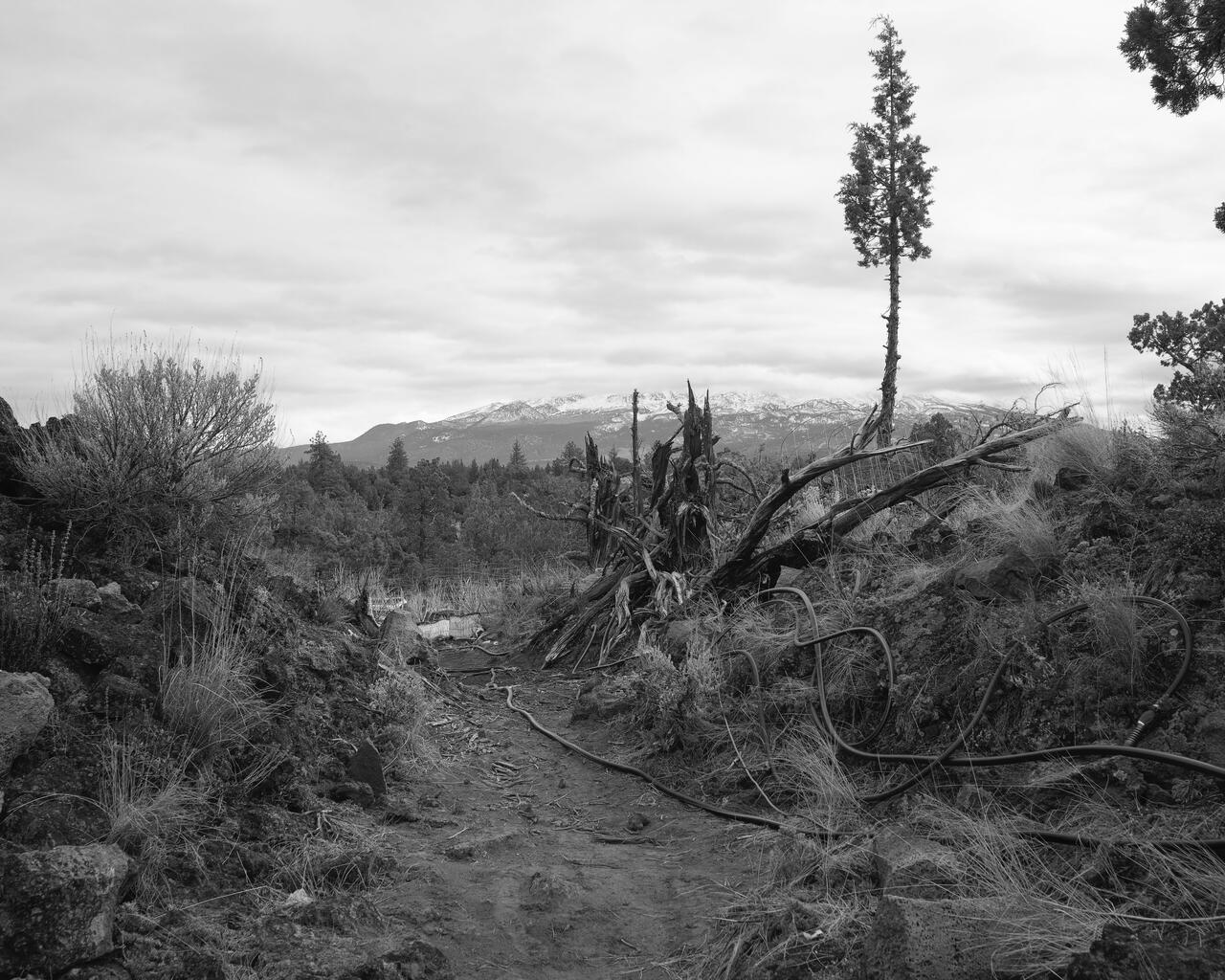 Black and white photograph of a cloudy rocky terrain with crooked trees and a mountain range in the background