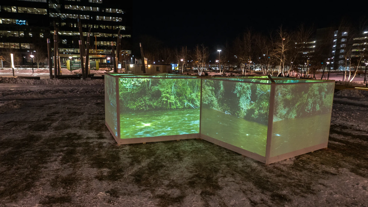 An image of an urban parking lot with a few boxes projecting forest images on them.