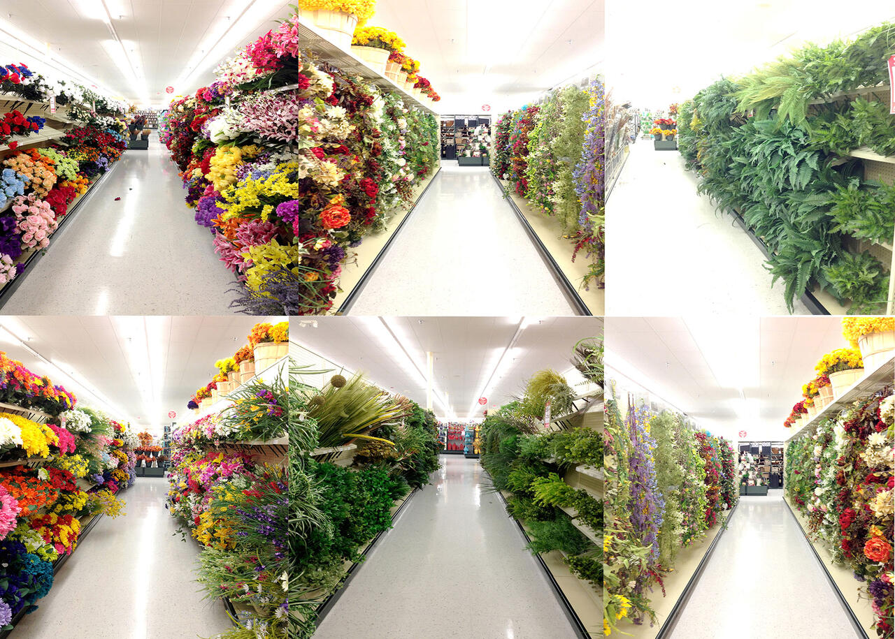 Floral arrangements by Eva Wylie