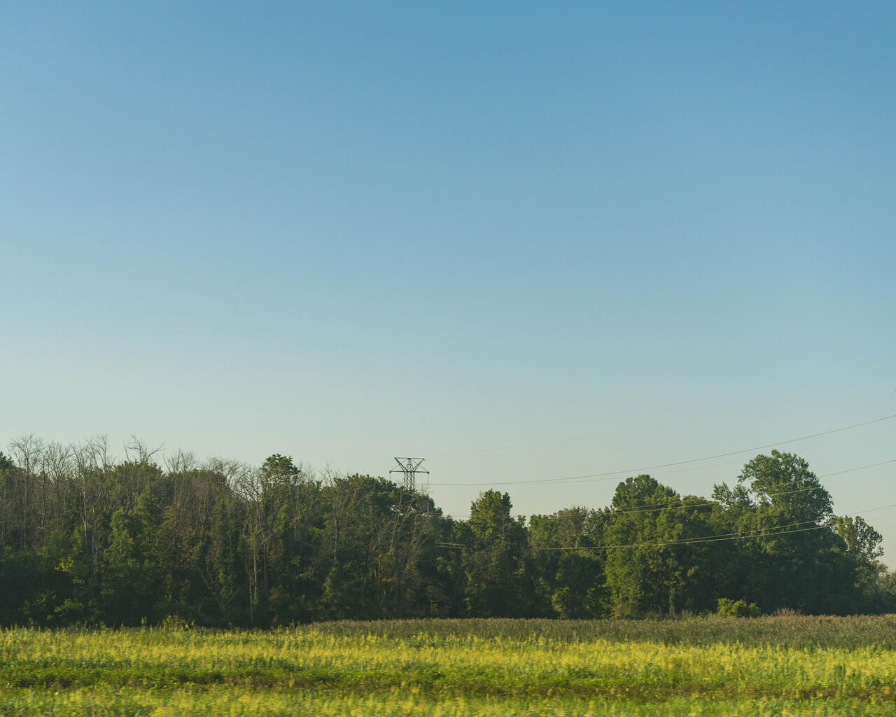 Photo of a field with trees and blue sky in the background