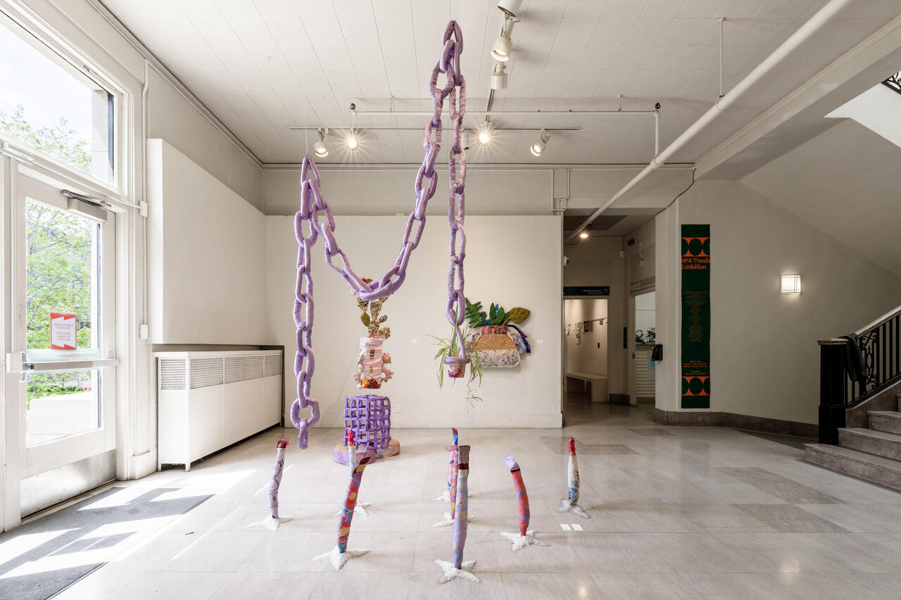 Image from MFA thesis exhibit 