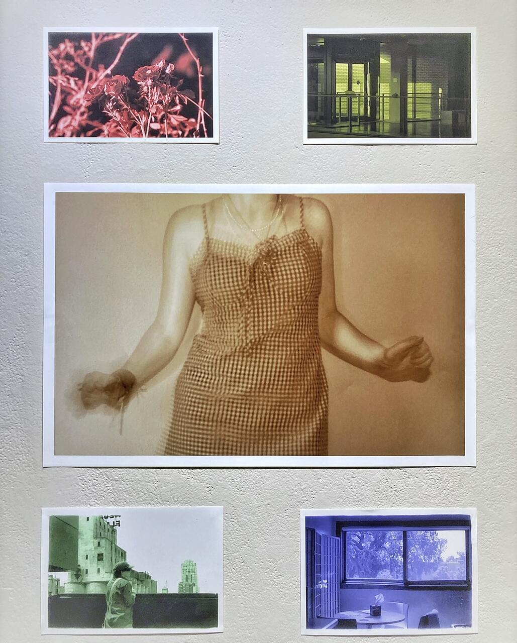 5 color photographs. Central image shows the torso and arms of a woman and is in sepia tones. Clockwise from top left shows a plant in red tones, the interior of MCAD in yellow/green tones, a student at Gold Medal Park in green tones, and the interior of a dorm room in blue tones.