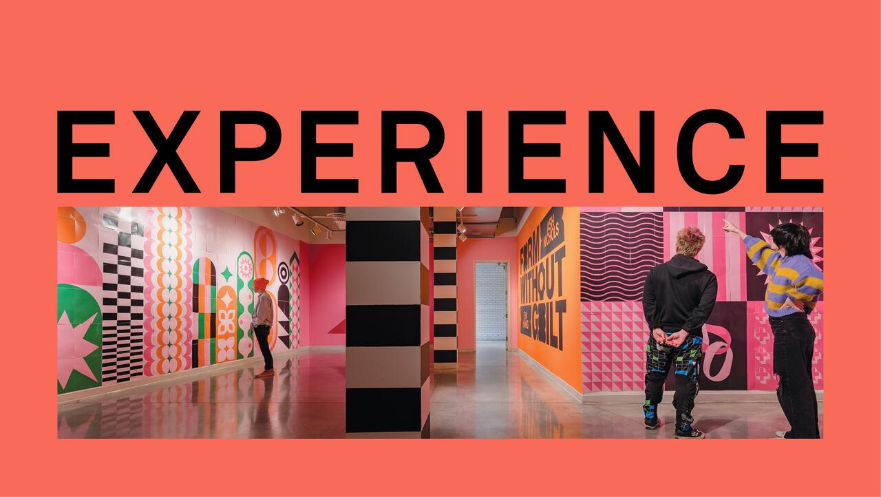 Experience MCAD day header