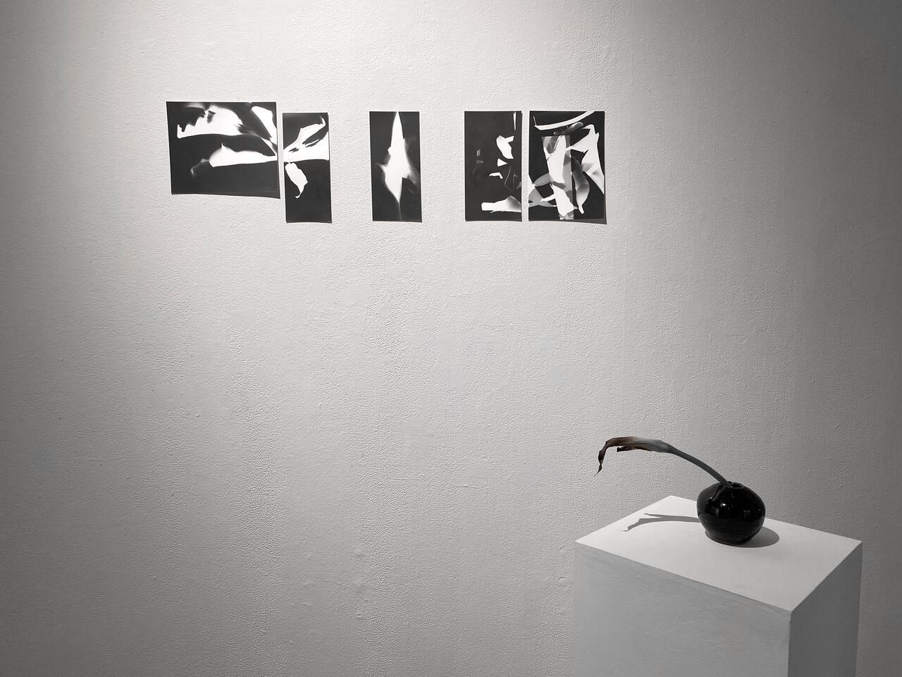 Student Work