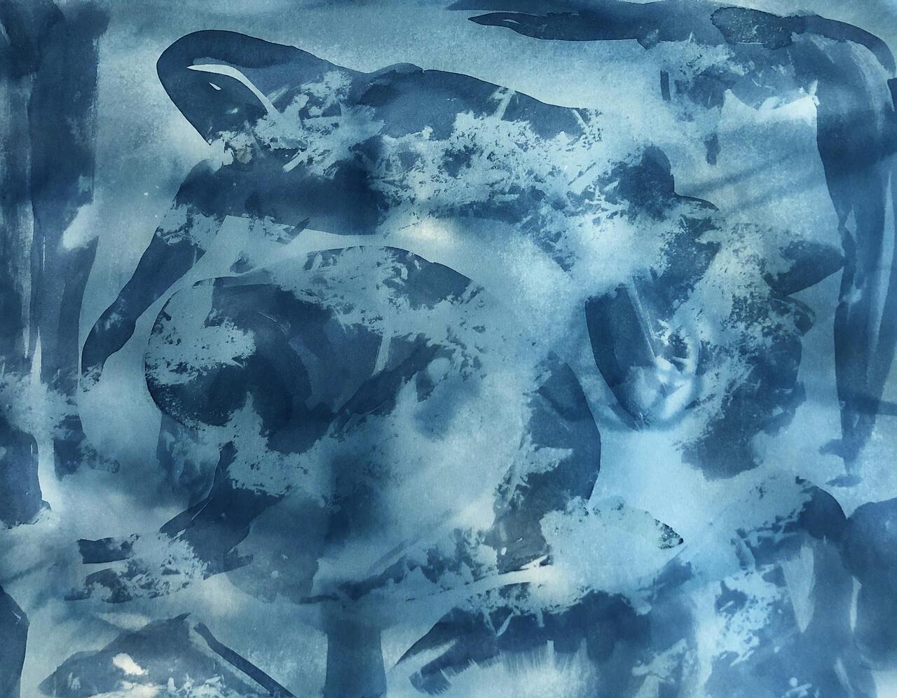 Molly Sullivan Senior_Project_Cyanotype_Series