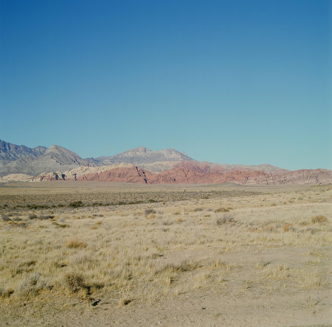 Liu Sijunbo, Untitled