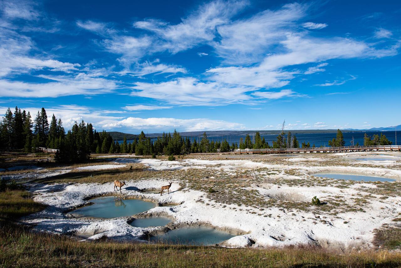 Liu Sijunbo, Untitled