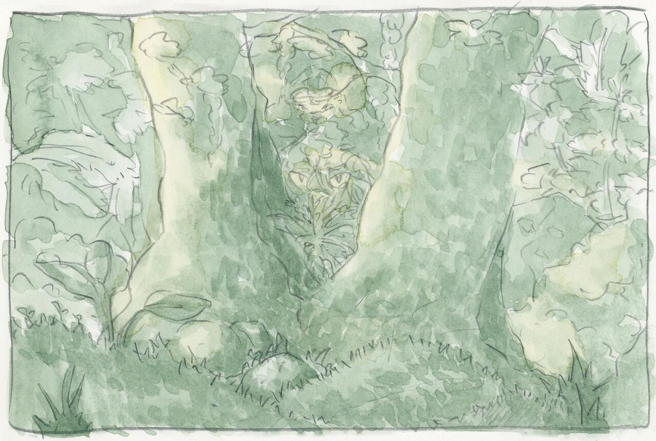 Wei Vivian Lu, "Fireheart Storyboard"