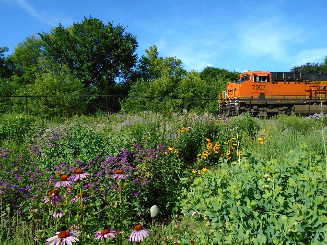 Talmage Crossing Commuity Garden.