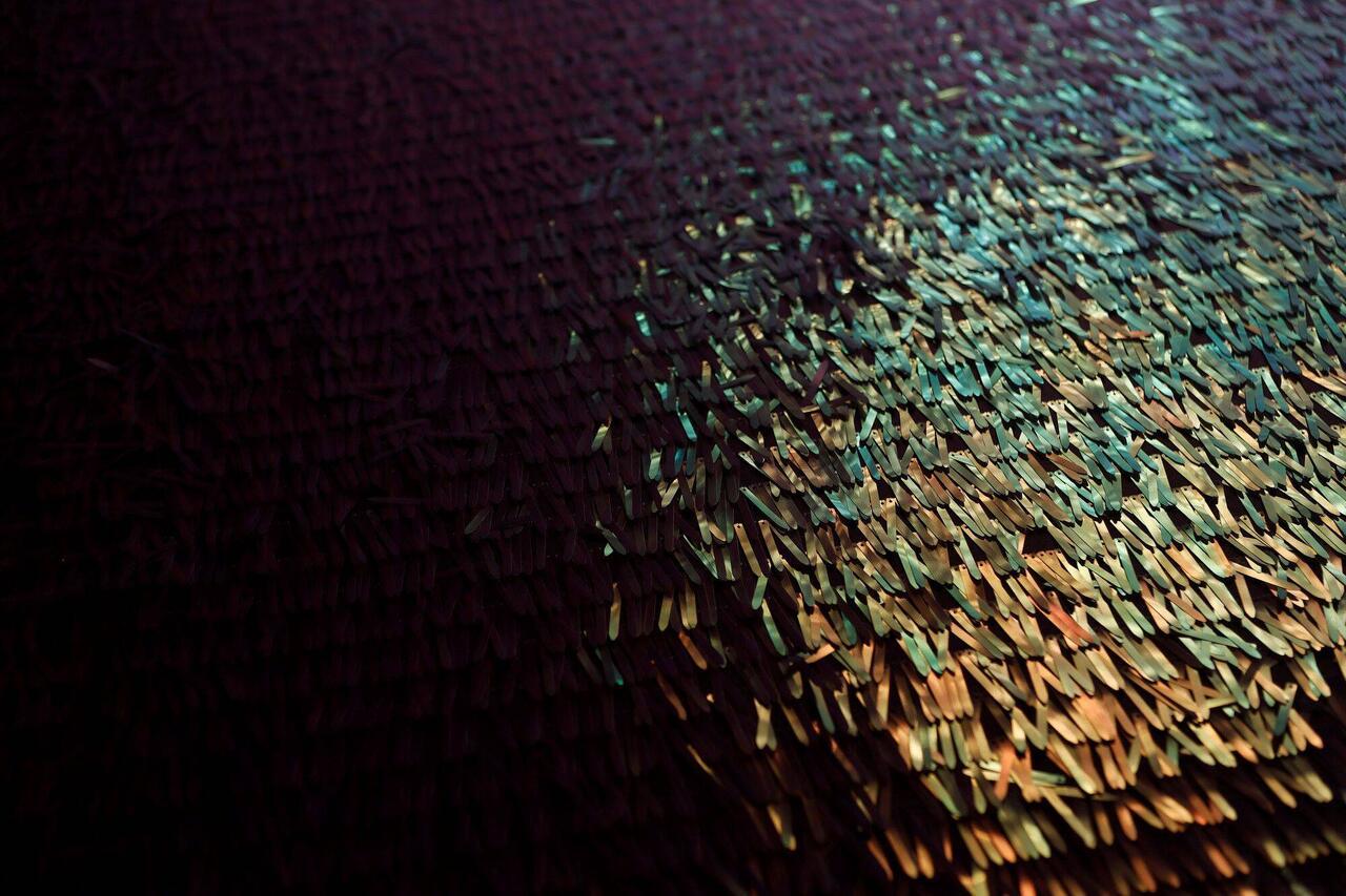 Detail of Charles Matson Lume's lacuna (for Gustaf Sobin).