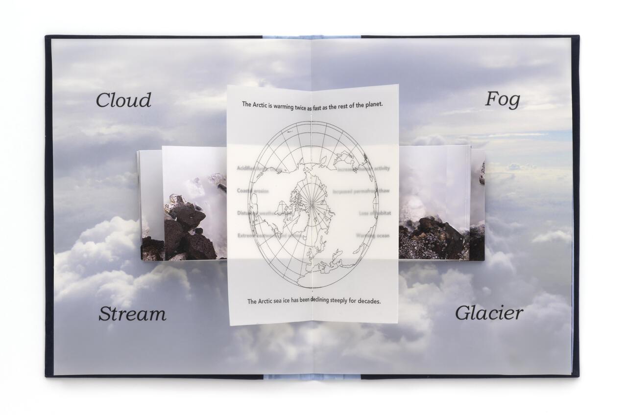 Karen Wirth, "Forms of Water"