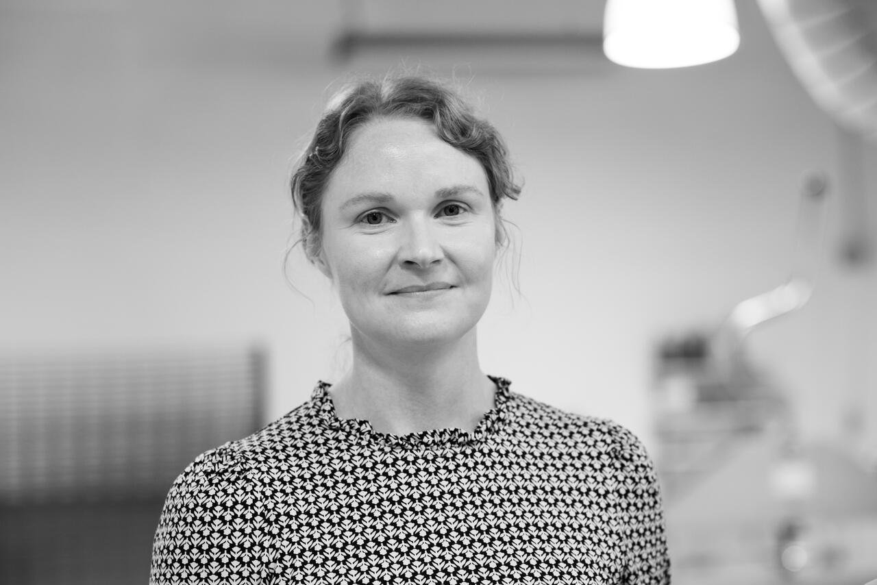mfa mentor grace sippy