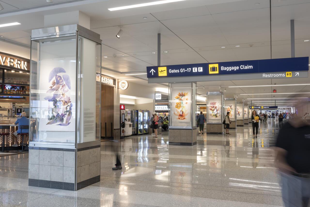 Secomd Home, a water-color media exhibition at the MSP International Airport.