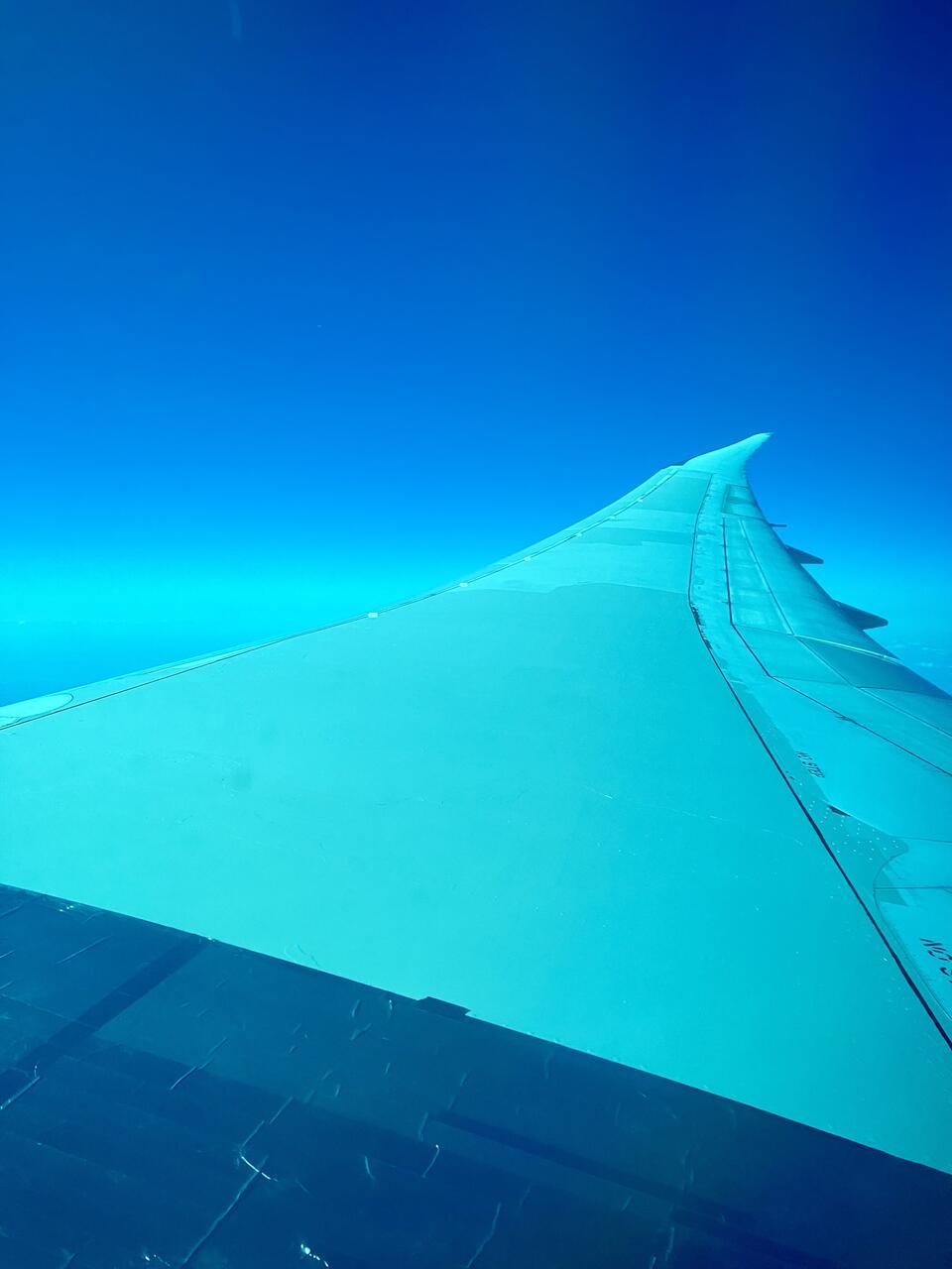 Woody Olsen, "Wings of Flight"