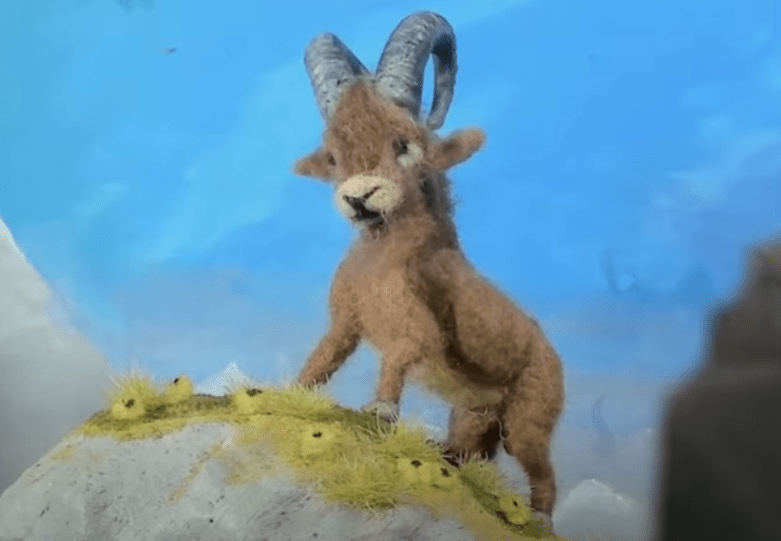 A still from Dear Fauna, By Fauna Ramussen.
