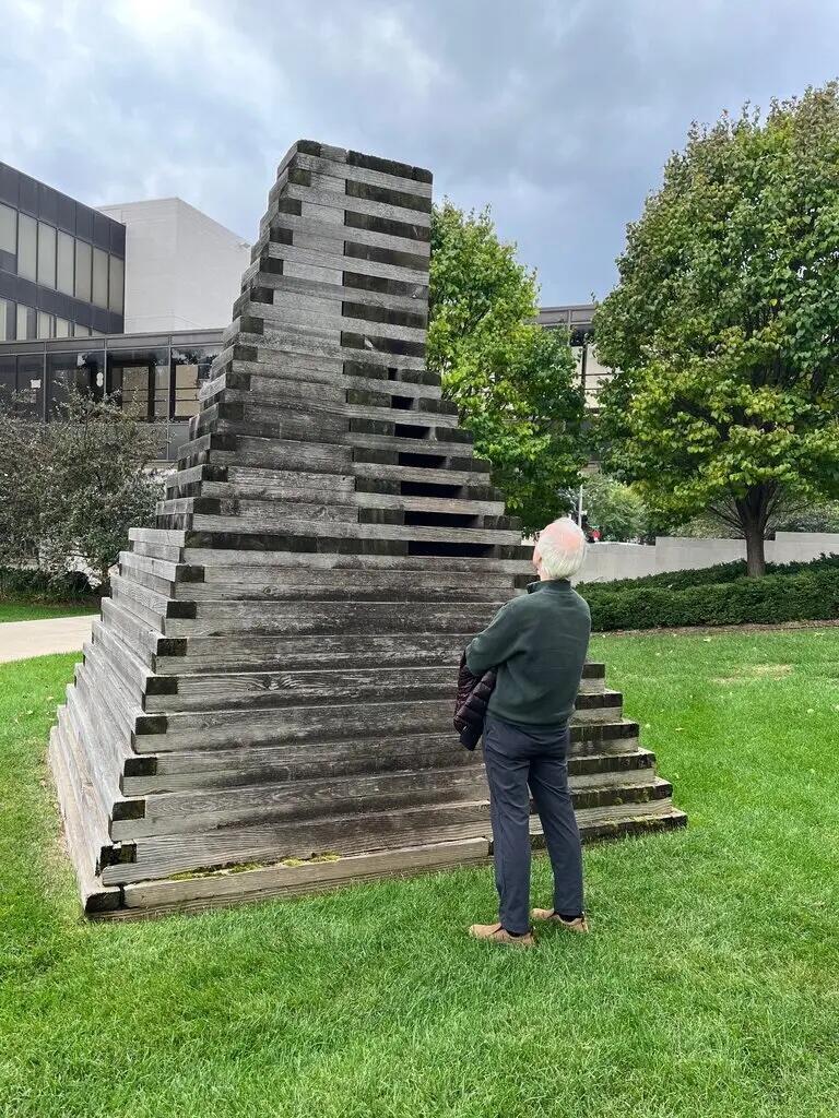 Jackie Ferrara, "Minneapolis Project"