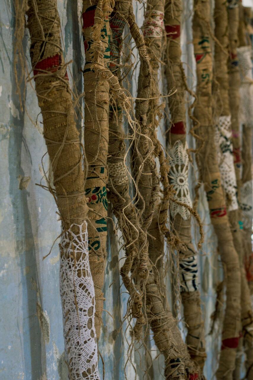 Details of Mary Welke's Root Project.