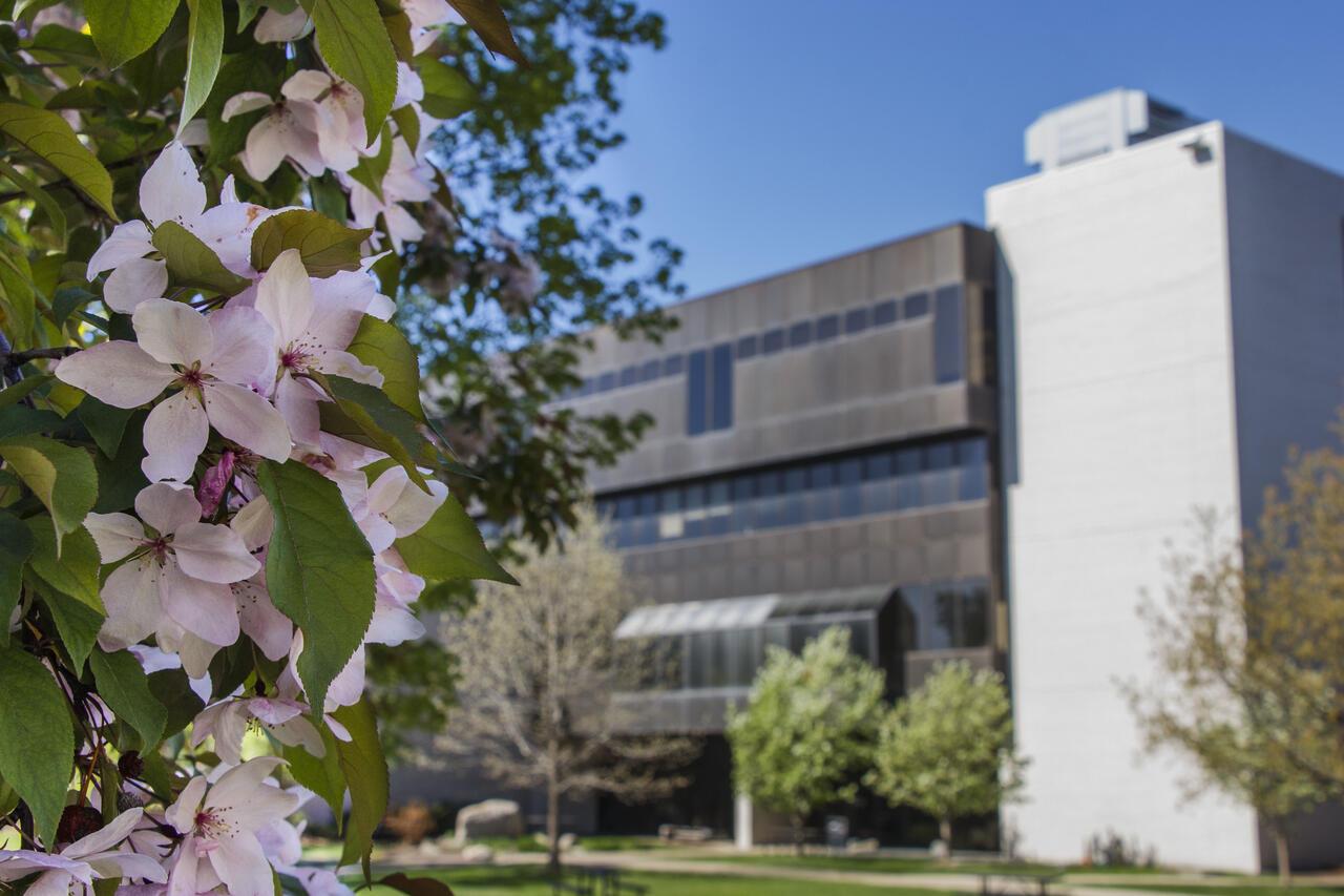 view of MCAD in the spring
