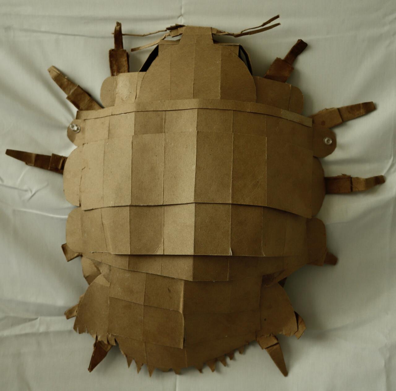 Willow Nelson, Untitled