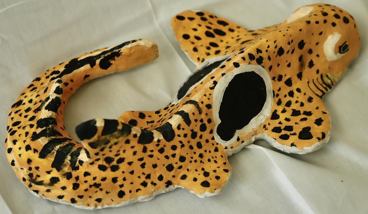 Willow Nelson, Untitled