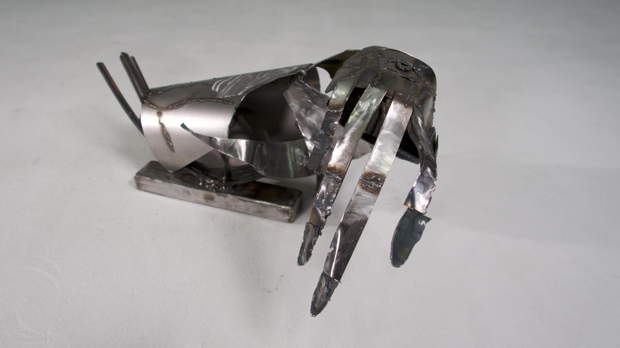 Bear Barber, Untitled