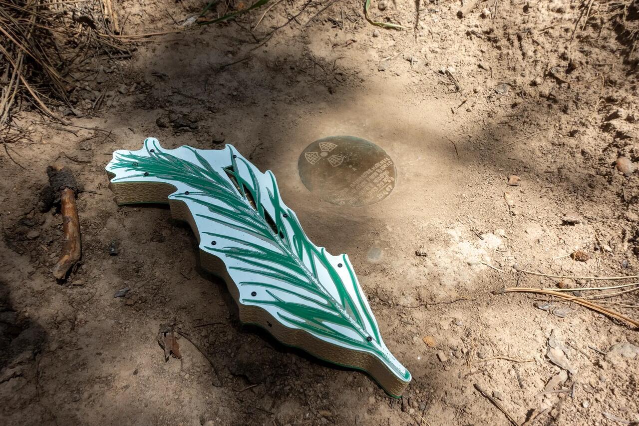 Ben Moren, "Chamisa Geiger Counter"