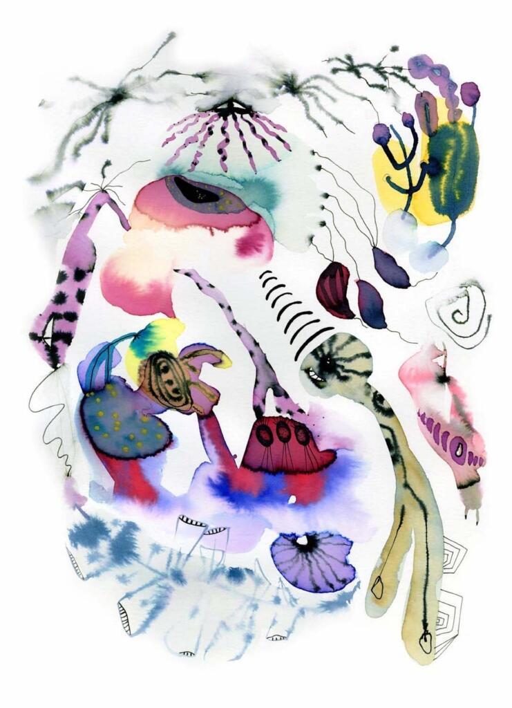 Observations by Suyao Tian.